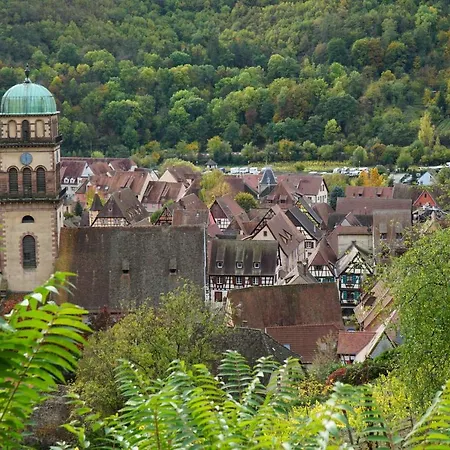 Gite Du Xve Kaysersberg-Vignoble Exterior photo