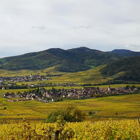 Gite Du Xve Kaysersberg-Vignoble Exterior photo