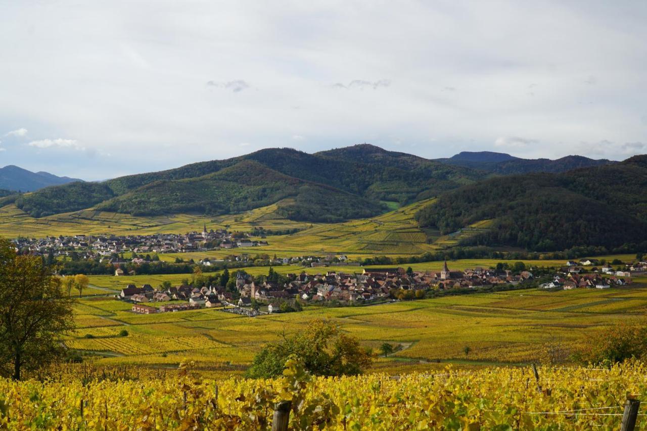 Du Xve * Kaysersberg-Vignoble